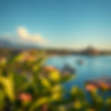 Scenic Waterfront Views The scenic waterfront surrounding the Beach Oasis development