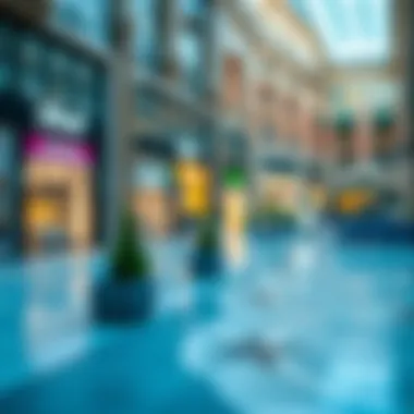 Key Outlet Mall Locations in Dubai A map highlighting key outlet mall locations in Dubai.