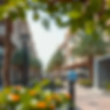 Community Lifestyle and Amenities Amenities in Al Nahda neighborhood, such as parks and shops