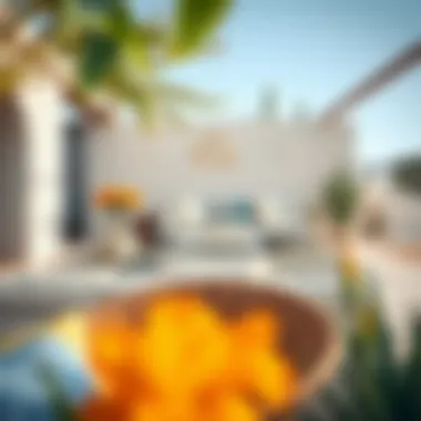 Stylish Outdoor Space in Dubai Ranch An inviting outdoor space featuring stylish furnishings and vibrant desert flora