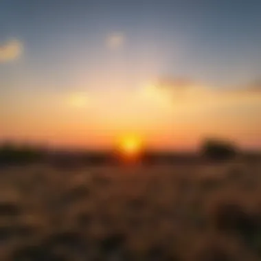 Serene Ranch Landscape at Sunset A picturesque sunset casting a warm glow over a serene ranch landscape