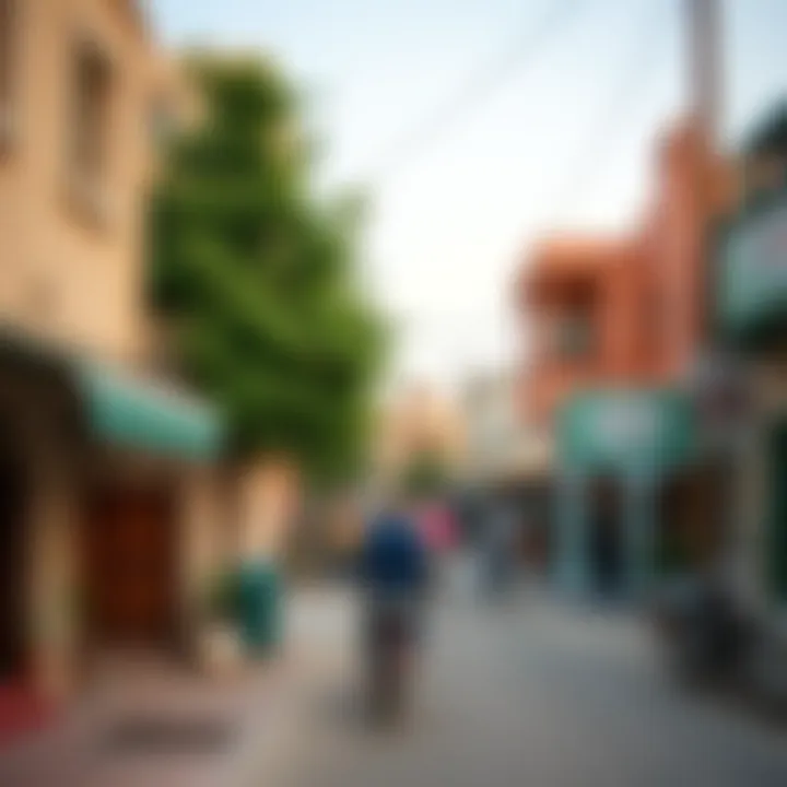 A vibrant community scene in Frij Al Murar neighborhood