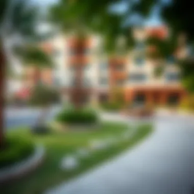 Surrounding amenities enhancing the lifestyle near Imtiaz Pearl House