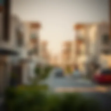 Community Vibe in Ras Al Khor Overview of Ras Al Khor community