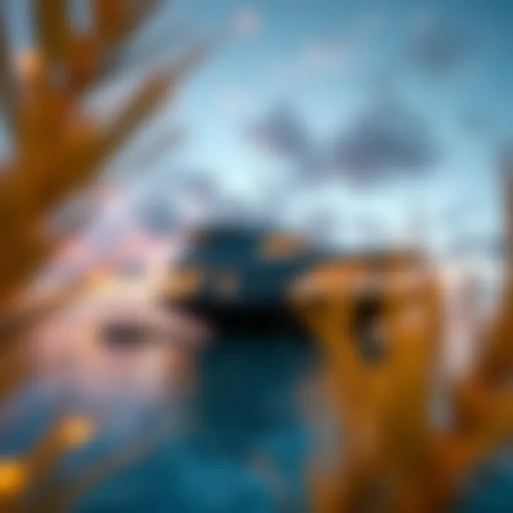 Notable The Floating Seahorse: A New Era in Luxury Living