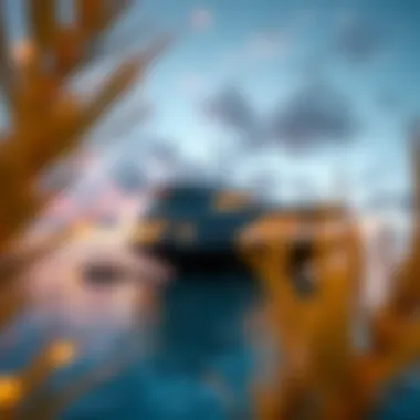 Notable The Floating Seahorse: A New Era in Luxury Living Notable The Floating Seahorse: A New Era in Luxury Living